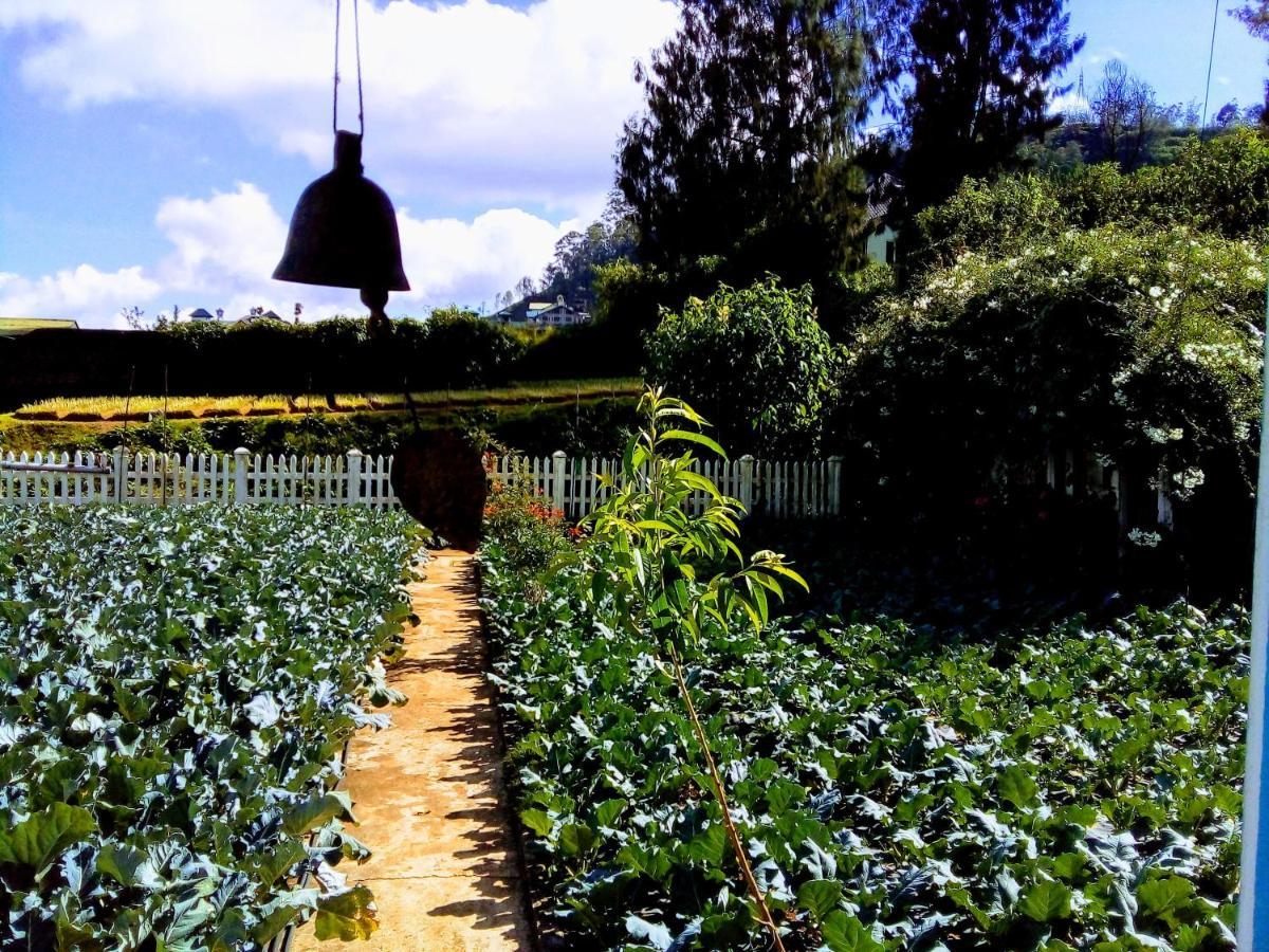 Vibe Way Hotel Nuwara Eliya Exterior foto